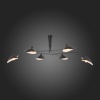 Накладная люстра ST-Luce SL305.402.06