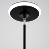Торшер Citilux CL810021