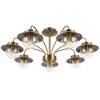 Люстра на штанге Evoluce SLE110102-07