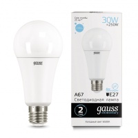 Светодиодная лампа Gauss 73239