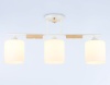 Накладной светильник Ambrella Light TR9546