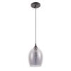 Подвесной светильник ARTE Lamp A4344SP-1BK