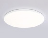 Накладной светильник Ambrella Light FZ2002