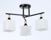 Накладной светильник Ambrella Light TR9493