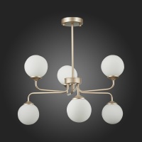 Evoluce SLE106203-06
