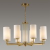 Подвесная люстра Odeon Light 4990/8