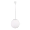 Светильник на шине Crystal Lux CLT 0.31 015 WH