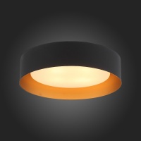 Накладной светильник ST-Luce SL392.422.04