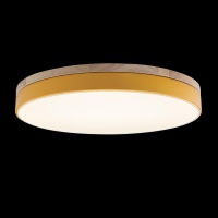 Детский светильник LOFT IT 10001/36 Yellow
