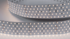 DesignLed Светодиодная лента 31Вт 24В теплое свечение, DSG2350-24-WW-33