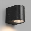 Светильник настенный Denkirs DK9790-BK