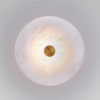 Бра Eurosvet 40341 LED латунь