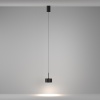 Подвесной светильник Maytoni P102PL-12W4K-B