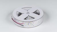 DesignLed Светодиодная лента LUX нейтральное белое свечение, DSG2280-24-NW-33