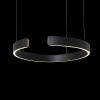 Подвесной светильник LOFT IT 10025/400 Black