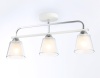 Накладной светильник Ambrella Light TR303233