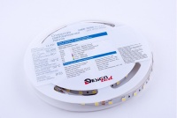 Лента DesignLed DSG560-24-W-33