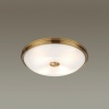 Накладной светильник Odeon Light 4956/4