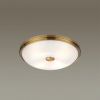 Накладной светильник Odeon Light 4956/4