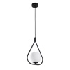 Подвесной светильник ARTE Lamp A7764SP-1BK