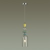 Подвесной светильник Odeon Light 4893/1