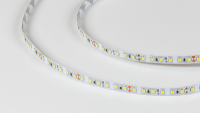 SWG Standard Светодиодная лента 2835, 120 LED/м, 9,6 Вт/м, 24В , IP20, 3M, Цвет: Холодный белый, SWG2120-24-9.6-W-M