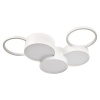 Накладной светильник LOFT IT 10317/5 White